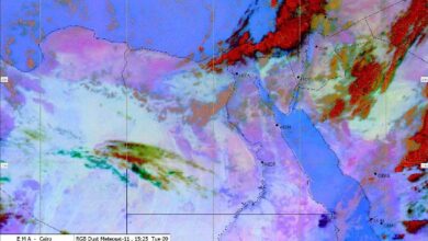 7781752482563202512091010171017