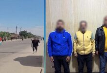 7932092043662025122904030232