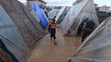 8351016650636202511170336183618