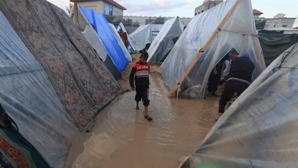 8351016650636202511170336183618