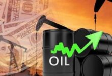 835101665063620251204102706276