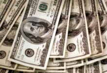 8351016650636202512091236293629