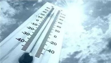 873574217980202512080858225822