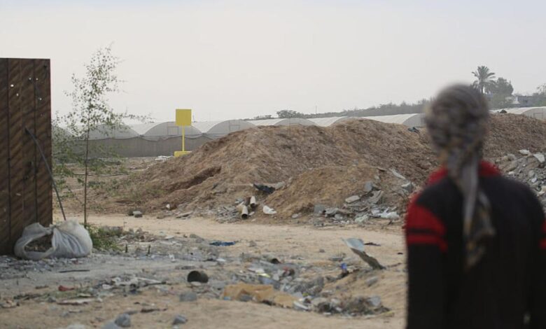 GettyImages 2244438097