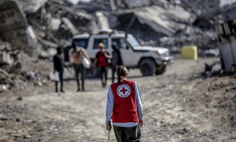 GettyImages 2248775676