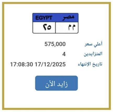 تخطت النصف مليون.. المرور تطرح التزايد على لوحة سيارة مميزة 1 elaosboa08913