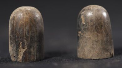 كشف أثري جديد.. العثور على نصف معبد للملك «ني أوسر رع»| صور 5 elaosboa30496