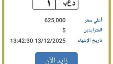 بـ 625 ألف جنيه.. مزاد علني على لوحة سيارة مميزة | اعرف الخطوات 8 elaosboa51637 1