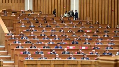 1768383275 elaosboa59172