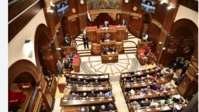 1768743940 elaosboa06479