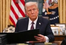 1768816357 elaosboa09564