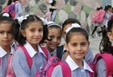 1768844025 elaosboa76509