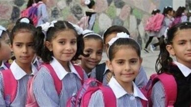 1768844025 elaosboa76509