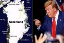 1768849125 elaosboa74659