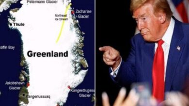 1768849125 elaosboa74659