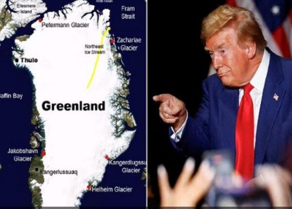 1768849125 elaosboa74659