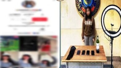 1768852177 elaosboa92301