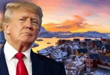 1768911639 elaosboa36187