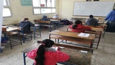 1768911765 elaosboa76904