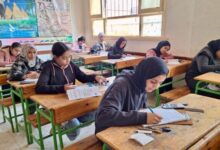 1769061092 elaosboa72106