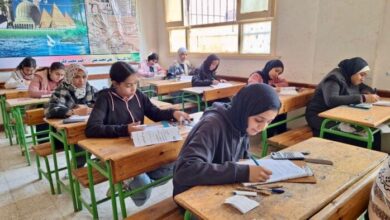 1769061092 elaosboa72106