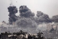 1769075313 elaosboa92153