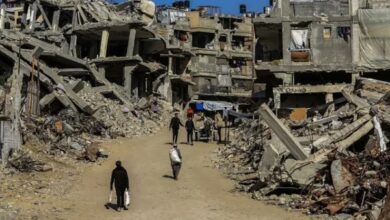 1809754358455202601200751195119