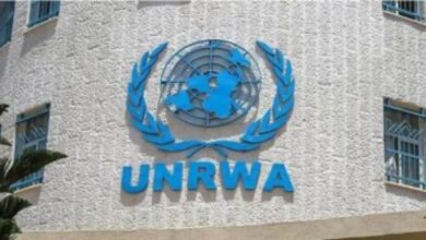 182018529703920251230062506256