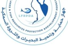 56750525427720260122070926926