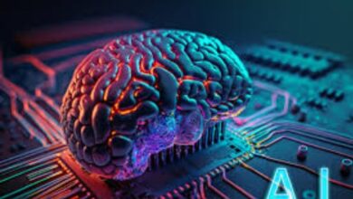 6112092248255202601190456165616