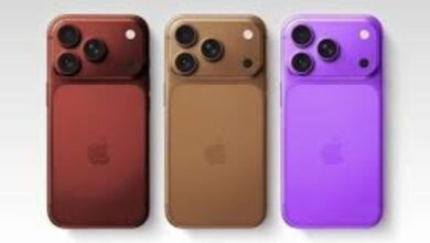 611209224825520260120085408548