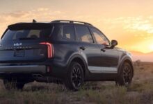 62214683691102026011910050454