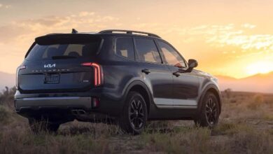 62214683691102026011910050454