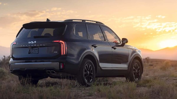 62214683691102026011910050454