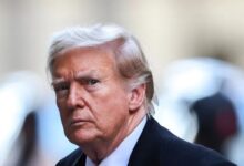 6231252060561202601140943294329