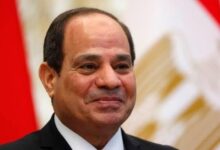 6231252060561202601141131103110