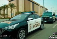 6231252060561202601200632433243