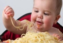 6271977767053202601210230403040