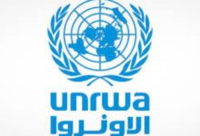 675177828408620260120061103113