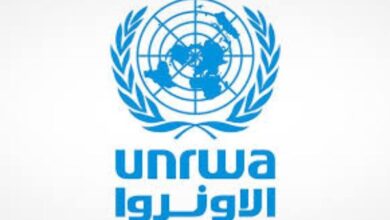 675177828408620260120061103113