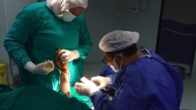 6911259056615202601201152115211