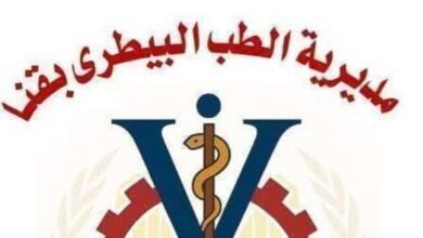 6975554339420260121051803183