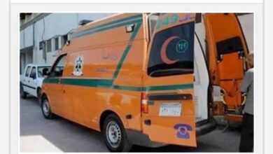 من بينهم طبيبة.. إصابة 9 أشخاص بعد اصطدام ميكروباص بعمود إنارة في الدقهلية 5 699200975598202601120920102010