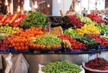 699200975598202601250339173917