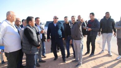 7011395793464202601190924452445