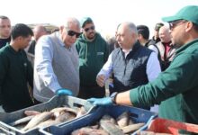 7011395793464202601220220532053