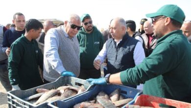 7011395793464202601220220532053