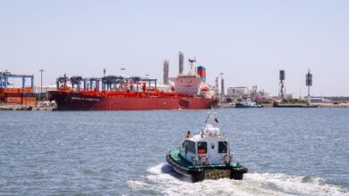 71231605969202601310819261926