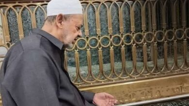 7462116223809202601050638563856