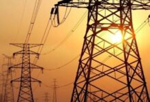 75912903726220260120111303133